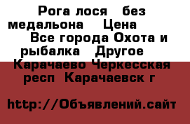 Рога лося , без медальона. › Цена ­ 15 000 - Все города Охота и рыбалка » Другое   . Карачаево-Черкесская респ.,Карачаевск г.